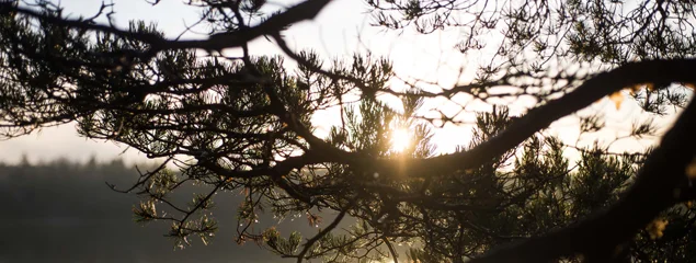 Naturmiljö vid Nanolfsvillan